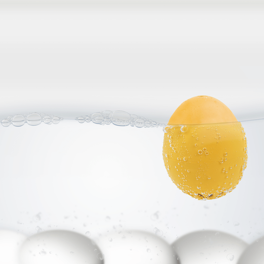 BEEP SINGING EGG TIMER DARK BLUE - DYKE & DEAN