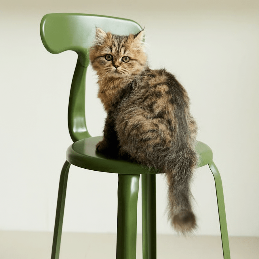 CHAISES NICOLLE METAL CHAIR 75 - DYKE & DEAN