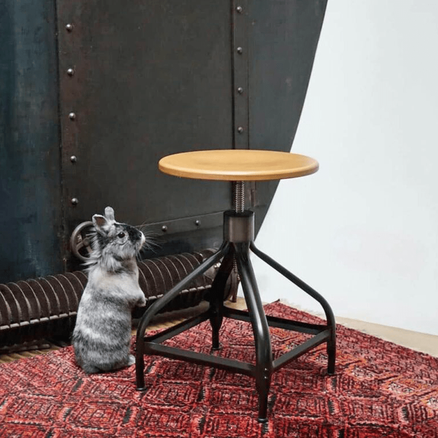 CHAISES NICOLLE TALL ADJUSTABLE SWIVEL STOOL WOOD - DYKE & DEAN