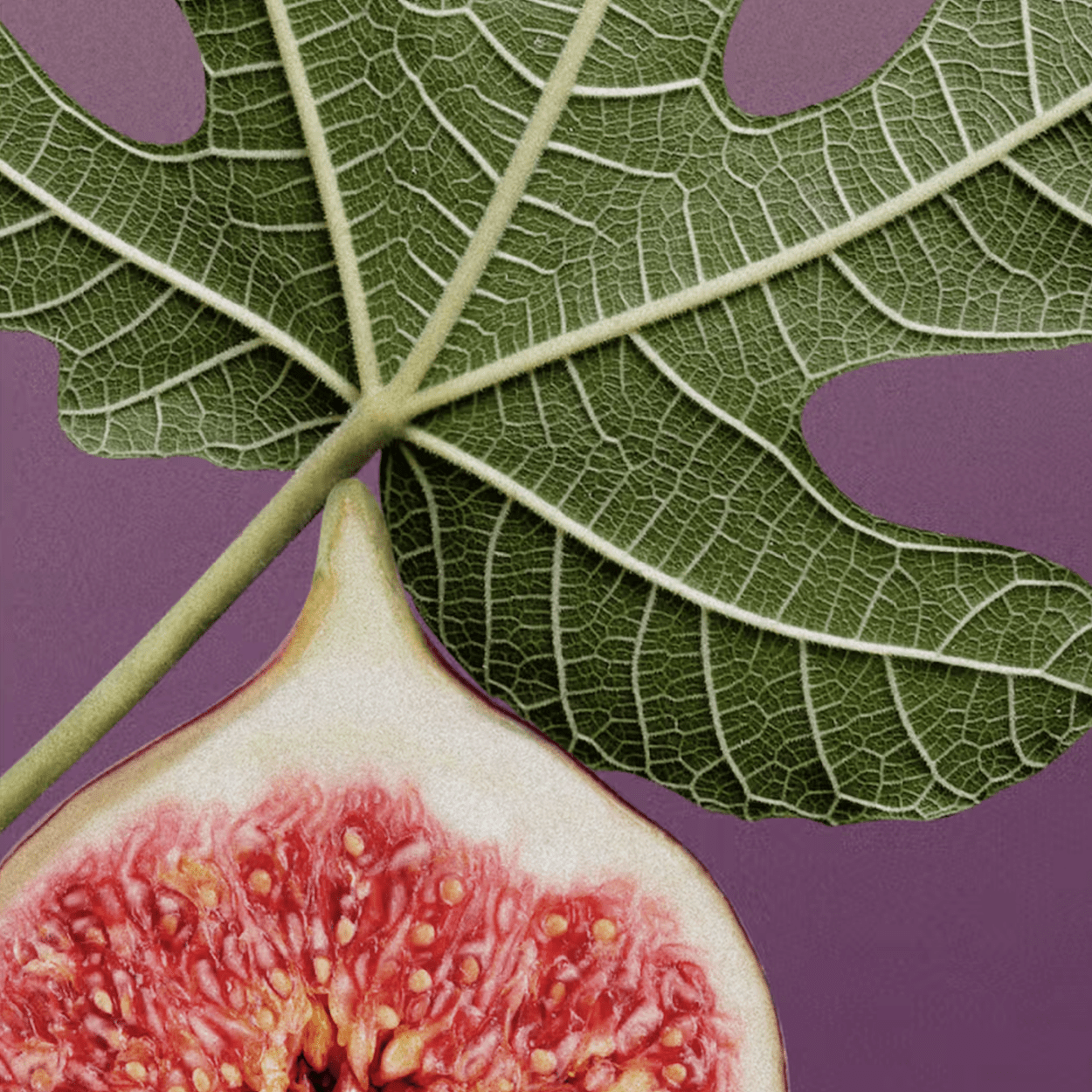 DS&DURGA HOLY FICUS CANDLE - DYKE & DEAN