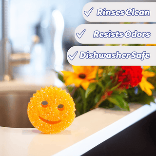 SCRUB DADDY ORANGE - DYKE & DEAN