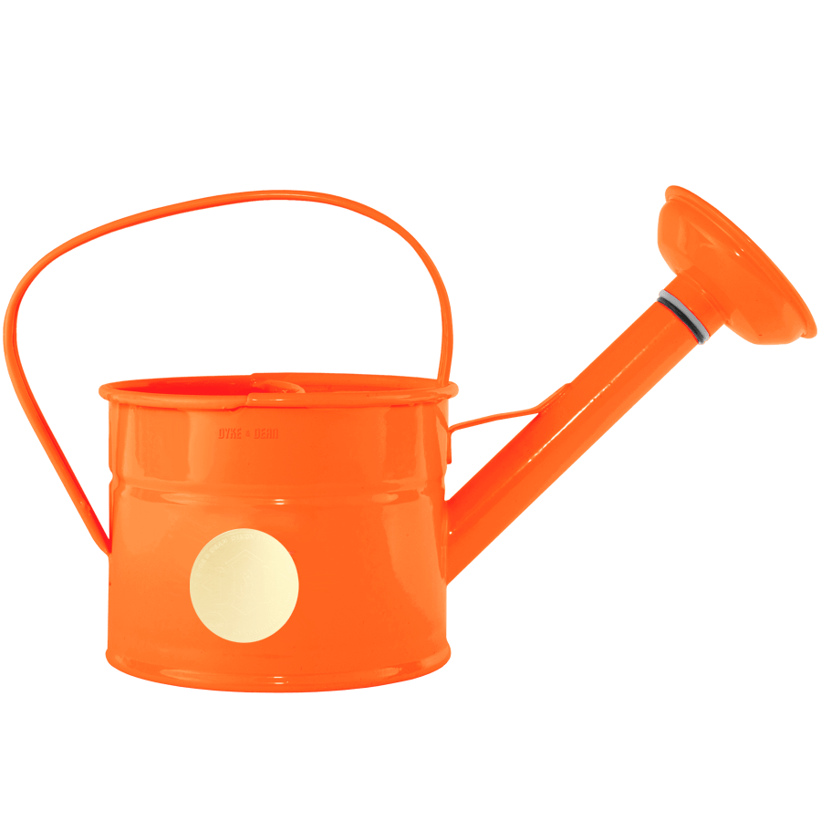 SMALL WATERING CAN ROSE SPOUT ORANGE - DYKE & DEAN