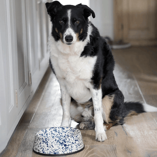 SPLATTERWARE ENAMEL DOG BOWL NAVY & CREAM - DYKE & DEAN