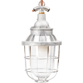 EXPLOSION PROOF CAGE LAMP STEEL - DYKE & DEAN