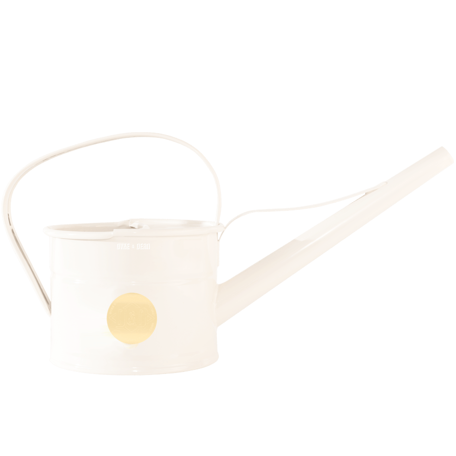 OUTDOOR WATERING CAN CREAM - DYKE & DEAN