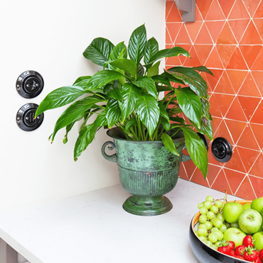 PORCELAIN WALL SOCKET MINT - DYKE & DEAN