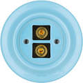 PORCELAIN WALL SPEAKER SOCKET PASTEL BLUE - DYKE & DEAN